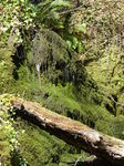 FZ004164 Small waterfall covered in moss.jpg